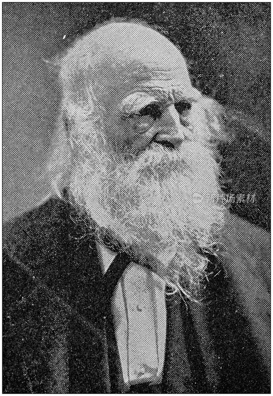 古董摄影:William Cullen Bryant